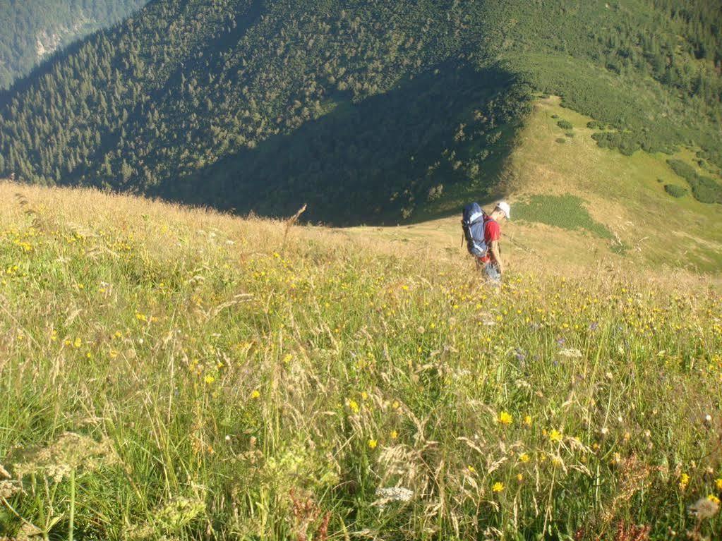 Penzion Tatras Vel'ka Lomnica Buitenkant foto
